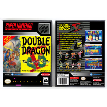 Double Dragon V: The Shadow Falls